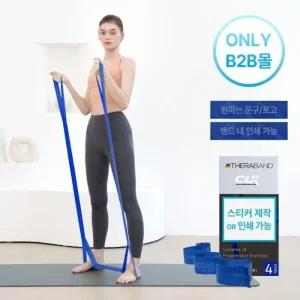 세라밴드 홈트 스트래칭 정리운동용 고리 밴드 T9241