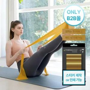 세라밴드 요가 스트래칭용 밴드 레벨7 2m T9192