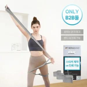세라밴드 홈트 스트래칭 저항운동용 고리 밴드 T9239