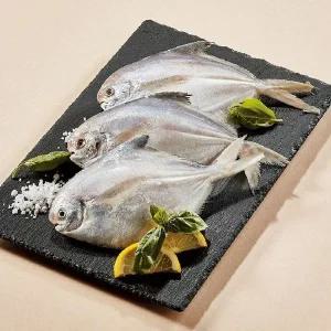 [NS홈쇼핑]여수직송 국내산 병어 30마리 (250g 10팩)[35457820]