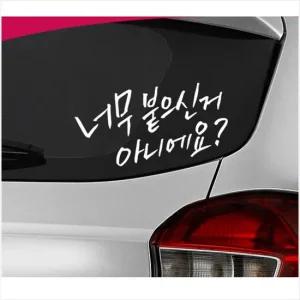 D24 초보운전 차량용 데칼스티커 TKCH-10 활용도높은 편리한 튜닝스티커 꾸미기 자동차튜닝