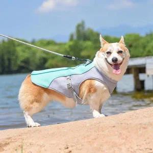 [조아몰]통기성좋은 메쉬소재 반려견용 여름 쿨조끼 목줄 캣 (S34845841)