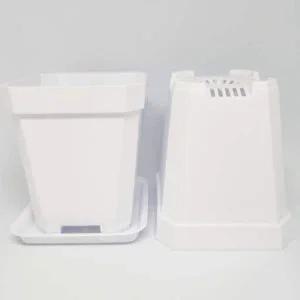 미니화분 대형 10cm 화이트 5p세트 받침대포함