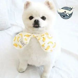 귀여운 강아지 목도리 스카프 애견 아이디어