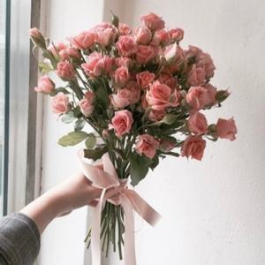 에밀리정원 햇살장미 생화 1단  꽃선물 화훼농가돕기