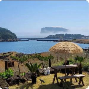 [제주 게스트하우스] 제주 오조숙녀sea (서귀포시)