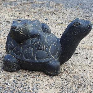 거북이 등 세련두꺼비 블랙