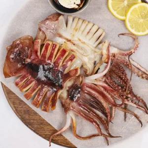 [강영수산]구룡포 반건조오징어 5미 소 (450g)