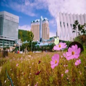 [강원] 하이원콘도 힐콘도(강원, 정선)