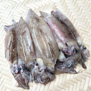 총알 한치 1kg (급냉)