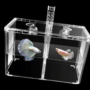 [골드스마일]플레이링산란통 합사전 칸막이 암컷 수컷 합사케이스