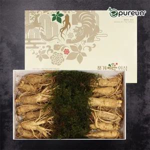 [이푸른] 풍기인삼 6년근 수삼 난발삼 500g(곽포장)