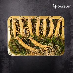 [이푸른] 풍기인삼 6년근 수삼 3호 500g(8-9뿌리)