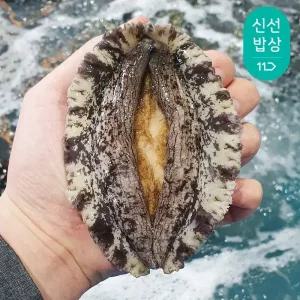 완도 활전복 대 11-13미1kg 산소포장