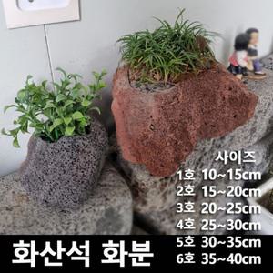 화산석 화분 - 1호 2호 3호 현무암 돌화분 다육이 석부작 천연석 자연석 정원 베란다 화단 꾸미기