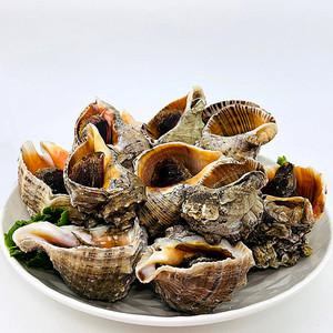 (푸드) 당일 조업 연안 연평 참소라 1kg