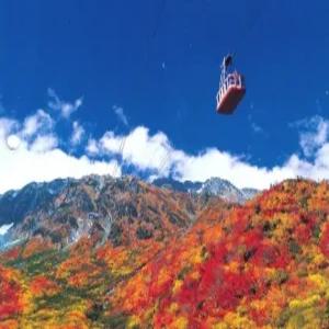 부산출발 동경 알펜루트 4일 #자연의 위대함 #오다이바 #하코네 4일