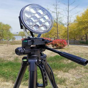 밤낚시 집어등 풀치 갈치 랜턴 쭈꾸미 써치 낚시집어등 볼락 램프