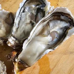 당일조업 여수 석화 월하굴 5kg