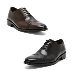 탠디본사 소가죽 옥스퍼드  HA17001 2color