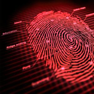 [과학쌤이오] 과학수사 CSI 분말법 지문채취 키트 50인용 - 1695190548