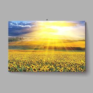 해바라기 사고급진 돈들어오는그림 인테리어 아크릴 액자