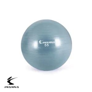 아이워너 안티버스트 짐볼 55cm 더스티 블루 운동 근력