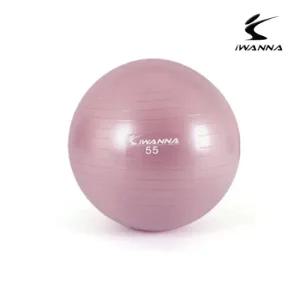 아이워너 안티버스트 짐볼 55cm 와일드 핑크 운동 근력