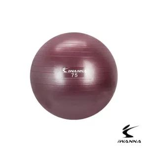 아이워너 안티버스트 짐볼 75cm 루비와인 운동 근력