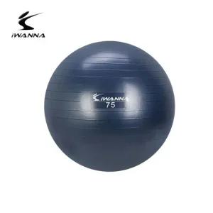 아이워너 안티버스트 짐볼 75cm 블루인디고 운동 근력