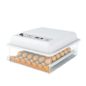 오리 병아리부화기 메추리 국산 가정용 계란 부화 부화기 거위 메추리알 사육장 유정란 자동