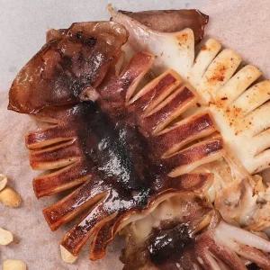 [강영수산]구룡포 반건조오징어 5미 특특대 (900g)