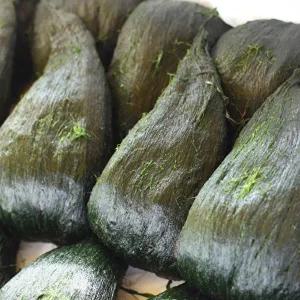 [지투지샵]완도명가 매생이 350gx10