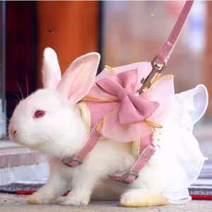 DD몰 토끼목줄 하네스 산책줄 반려동물 외출 토끼옷 애완토끼용품