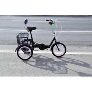 세발자전거 접이식 어르신 성인 세발 입문용 자전거