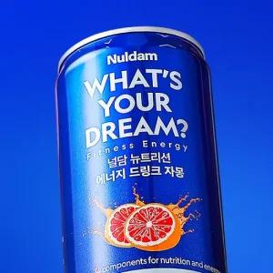 널담 뉴트리션 에너지 드링크 355ml  자몽 24개입 제로슈가 아르기닌 BCAA 함유