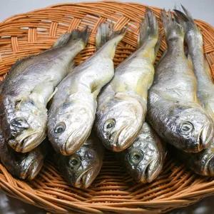 국내산 참조기 1팩당 5미 250g내외 15팩 75미