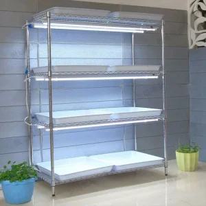 위플 산소삽목기 재배 삽목