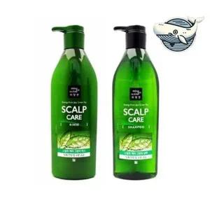 두피 피지 조절 그린티 샴푸 린스 전문제품-WFGVVKA