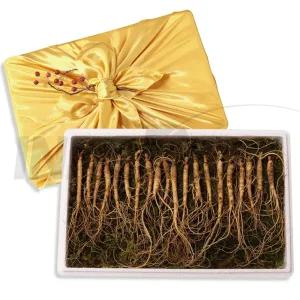 김성태 진삼애 강원도 산양삼 사포닌 산양 삼 산삼 인삼 수삼 산양삼 산양산삼 5-6년근 20뿌리 선물세트