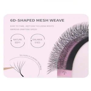 Lashernala 속눈썹나라 6D 속눈썹연장 노글루속눈썹 눈썹연장 가닥속눈썹