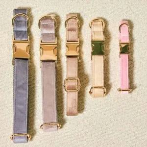 반려견서지컬목줄 강아지 써지컬 부드러운 목줄 1P 튼튼한 산책 외출 강아지가죽목줄