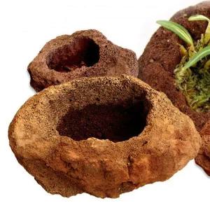 [콩심팥심]선인장화분 선물 옹기다육이화분 화산석