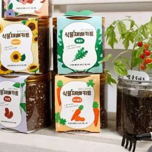 반려식물키우기 2개 새싹재배키트 11종식물 미니화분
