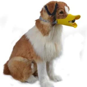 [콩심팥심]애견입마개 진돗개 말티즈 푸들 소형견 대형견 입마개