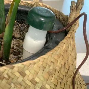 [콩심팥심]식물 물주기 화분자동급수기 2P