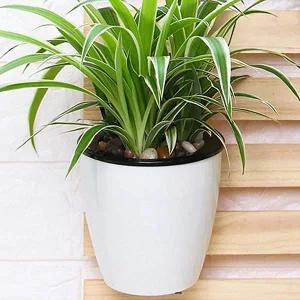 [셀러에이드]자동 급수 화분 실내 화초 원형 플라스틱미니화분