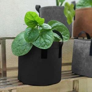 [셀러에이드]부직포 화분 2개 식물 경작 화분세트 뿌리야채화분 부직포화분