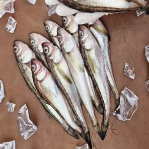 유쎌스토어 도루묵 1KG X 1팩 제철해산물