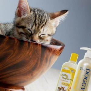 샴푸 린스 일반 애견용 750ml 반려동물 케어 모발영양 청결 실용적인 목욕 피부보호 세정